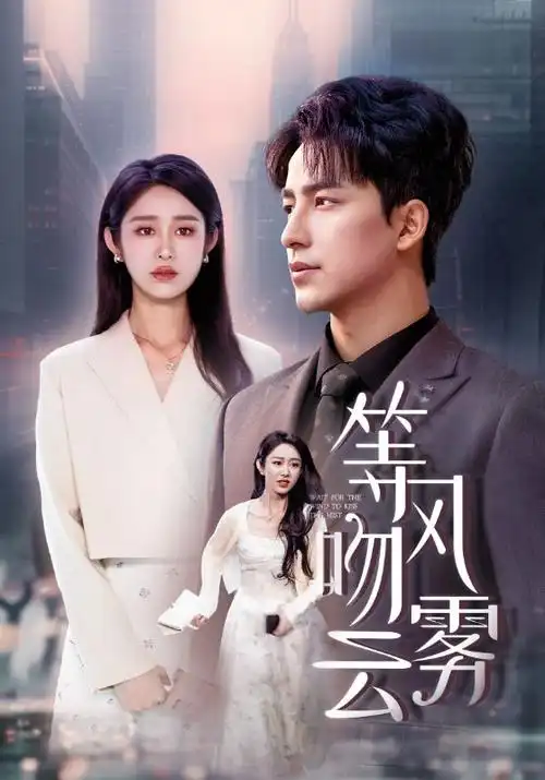 77影院热播剧集雾港追凶海报